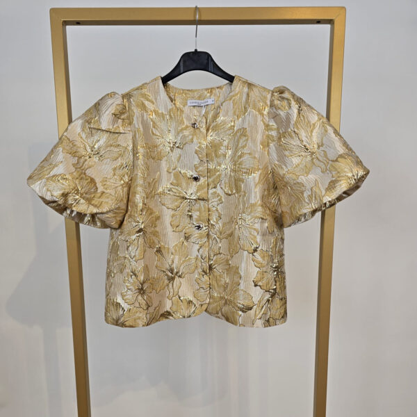 Blouse Shine korte mouw (beschikbaar in diverse kleuren)